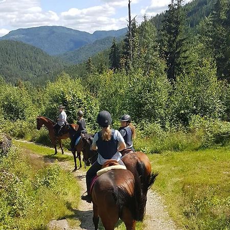 River Run Ranch - Telemark Drangedal Bagian luar foto