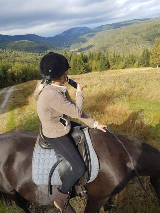 River Run Ranch - Telemark Drangedal Bagian luar foto