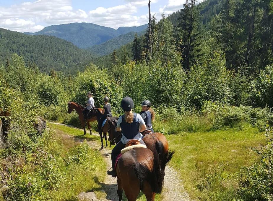 River Run Ranch - Telemark Drangedal Bagian luar foto