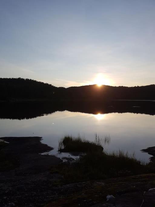 River Run Ranch - Telemark Drangedal Bagian luar foto