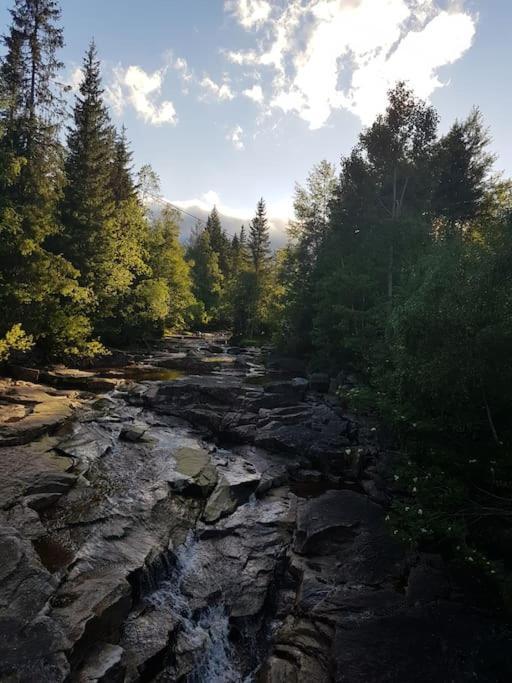 River Run Ranch - Telemark Drangedal Bagian luar foto
