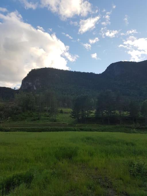 River Run Ranch - Telemark Drangedal Bagian luar foto