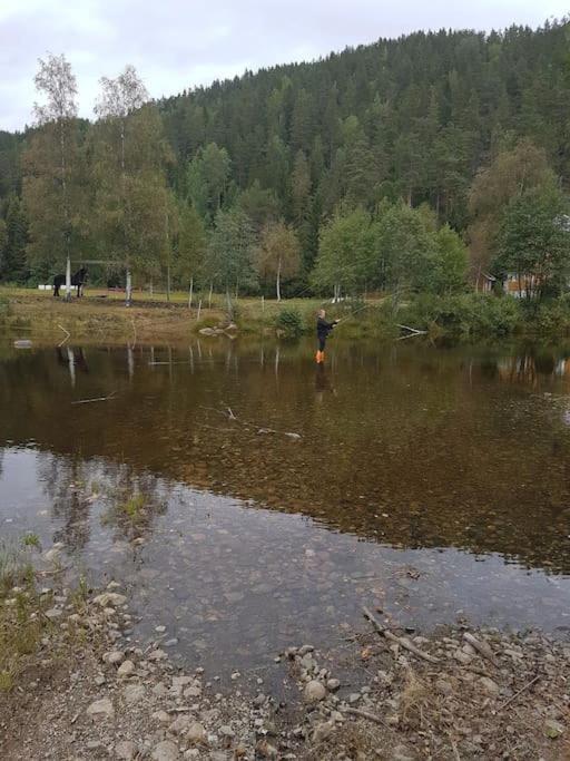 River Run Ranch - Telemark Drangedal Bagian luar foto