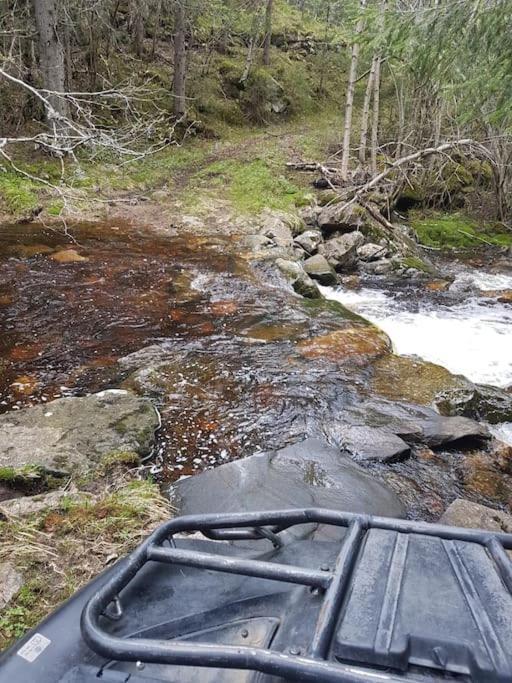 River Run Ranch - Telemark Drangedal Bagian luar foto