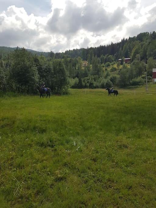 River Run Ranch - Telemark Drangedal Bagian luar foto