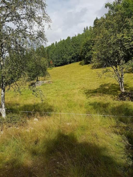 River Run Ranch - Telemark Drangedal Bagian luar foto