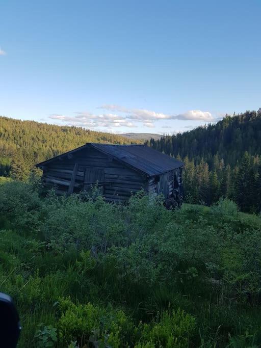 River Run Ranch - Telemark Drangedal Bagian luar foto