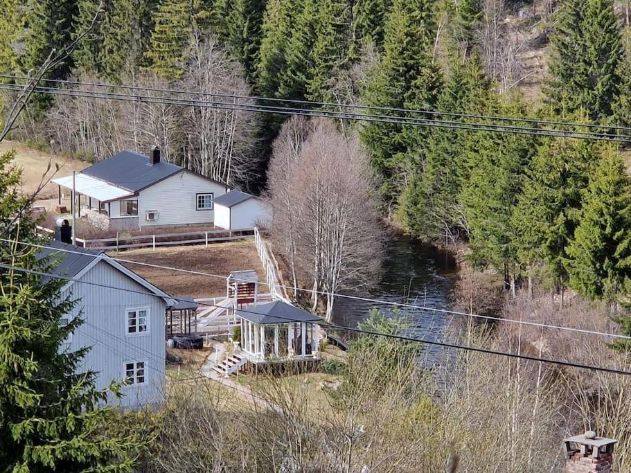 River Run Ranch - Telemark Drangedal Bagian luar foto