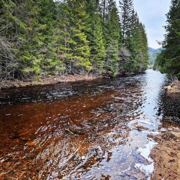 River Run Ranch - Telemark Drangedal Bagian luar foto