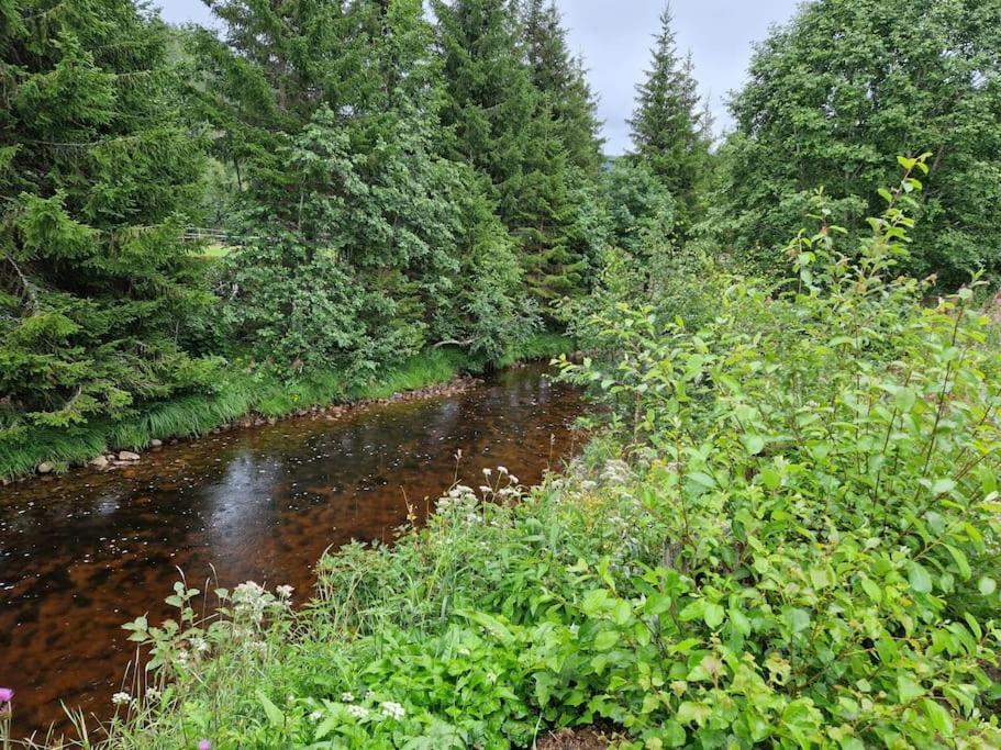 River Run Ranch - Telemark Drangedal Bagian luar foto