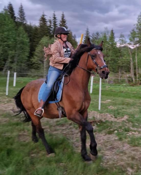 River Run Ranch - Telemark Drangedal Bagian luar foto
