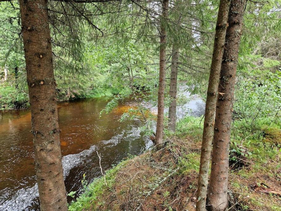 River Run Ranch - Telemark Drangedal Bagian luar foto