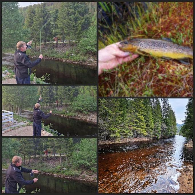 River Run Ranch - Telemark Drangedal Bagian luar foto