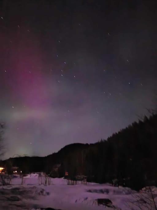 River Run Ranch - Telemark Drangedal Bagian luar foto