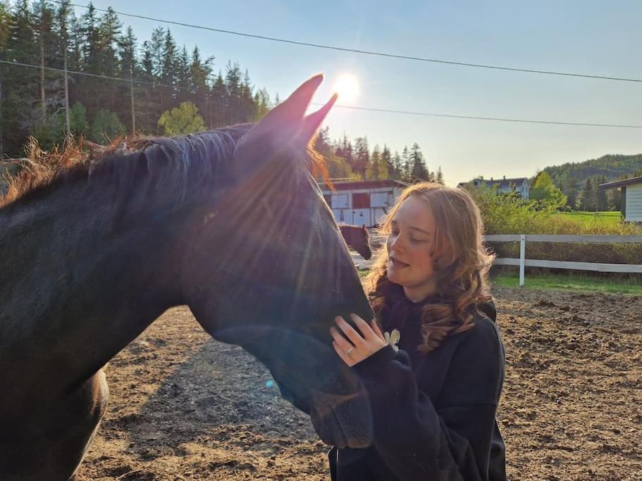 River Run Ranch - Telemark Drangedal Bagian luar foto